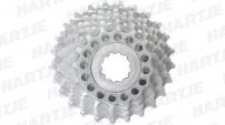 Werkstatt & Lagerung MICHE SHIMANO 10 FACH KASSETTE 16-25 Z.