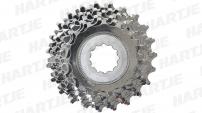 Werkstatt & Lagerung MICHE SHIMANO 9 FACH KASSETTE 15-23 Z.