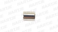 Werkstatt & Lagerung CAMPAGNOLO MAGNETSTIFT F. NIPPELMONTAGE