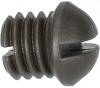 Shimano  Tire guide
