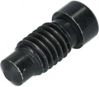 Bleed screw