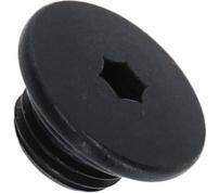 Bleed screw and O-ring