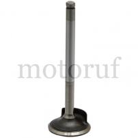 Classic Parts Einlassventil