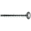 Classic Parts Einlassventil