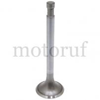 Classic Parts Einlassventil