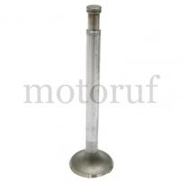 Classic Parts Auslassventil