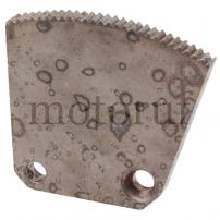 Classic Parts Zahnbogen