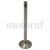 Classic Parts Einlassventil