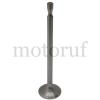 Classic Parts Motorenteile Motortypen: D 14, D 21, D 28 Oldtimer-Teile Schleppertypen: R 16, R 19, R 217, R 22, R 27, R 324, R 332, R 25, R 28, R 35, R 35/45, R 435, R 435/45, R 442, R 442/50