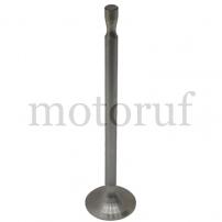 Classic Parts Einlassventil