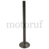 Classic Parts Motorenteile Motortypen: D 14, D 21, D 28 Oldtimer-Teile Schleppertypen: Perfekt 300 rund, Granit 500 rund, Brillant 600 rund, Granit 500/1