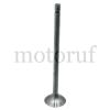 Classic Parts Motorenteile Motortypen: D 14, D 21, D 28 Oldtimer-Teile Schleppertypen: R 217, R 324, R 332, R 442, R 442/50