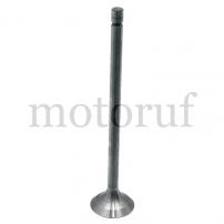 Classic Parts Ein/Auslassventil