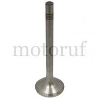 Classic Parts Auslassventil