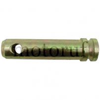 Garten und Forst Bolzen