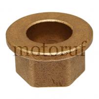 Garten und Forst Buchse