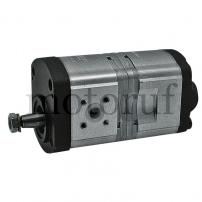 Landtechnik Doppelpumpe