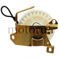 Garten und Forst Senkrechtstarter