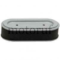 Garten und Forst Luftfilter