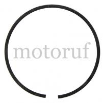 Garten und Forst Kolbenring