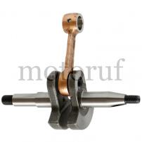 Garten und Forst Kurbelwelle