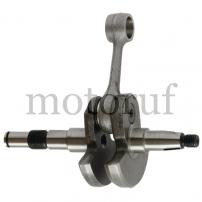 Garten und Forst Kurbelwelle