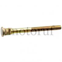 Garten und Forst Bundschraube