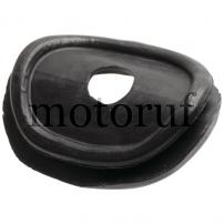 Garten und Forst Tülle