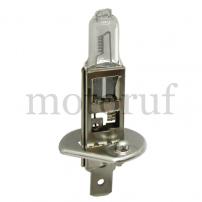 Landtechnik Halogenlampe H1