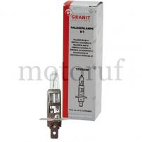 Landtechnik Halogenlampe H1