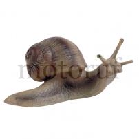 Spielzeug Weinbergschnecke