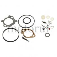 Garten und Forst Vergaser Reparatursatz