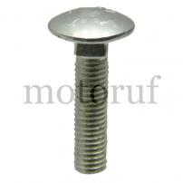 Garten und Forst Holmschraube