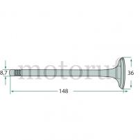 Classic Parts Einlassventil