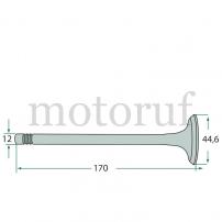 Classic Parts Einlassventil