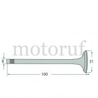 Classic Parts Einlassventil