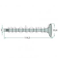 Classic Parts Auslassventil