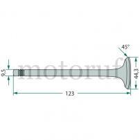 Classic Parts Einlassventil
