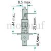 Landtechnik Halogenlampe H1