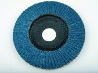 Garten Schleifmopteller 180x22mm