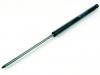 Garten Gasfeder 18564600