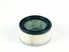 Garten Filter Luft pass.f. Robin