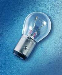 Garten Lampe P21/5W 24 Volt