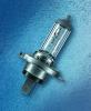 Garten Lampe H4 12 Volt