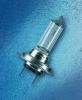 Garten Lampe H7 12 Volt