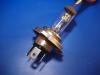 Garten Lampe HS1 35/35W 12V