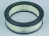 Garten Filter Luft pass.f.B&S