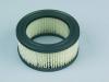 Garten Filter Luft pass.f.B&S