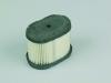 Garten Luftfilter  B&S 498596/697029