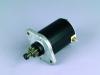 Garten E-Starter pass.Tecumseh